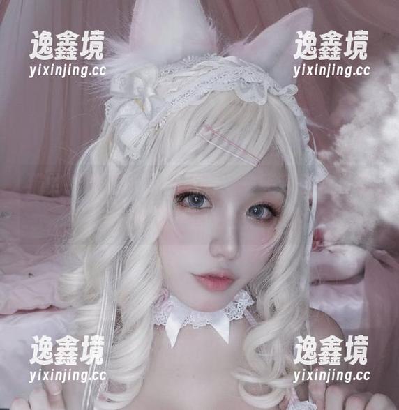 猫的眼神透着万种风情，一笑芳香沁“窗与宠物猫”图包全套体验