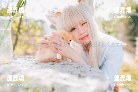 千反田鹿子的罩纱豹纹泳装全集，谁说泳装不能有态度？