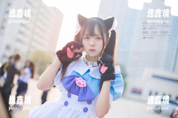小野妹子w的公寓猫图册：喵星人的日常