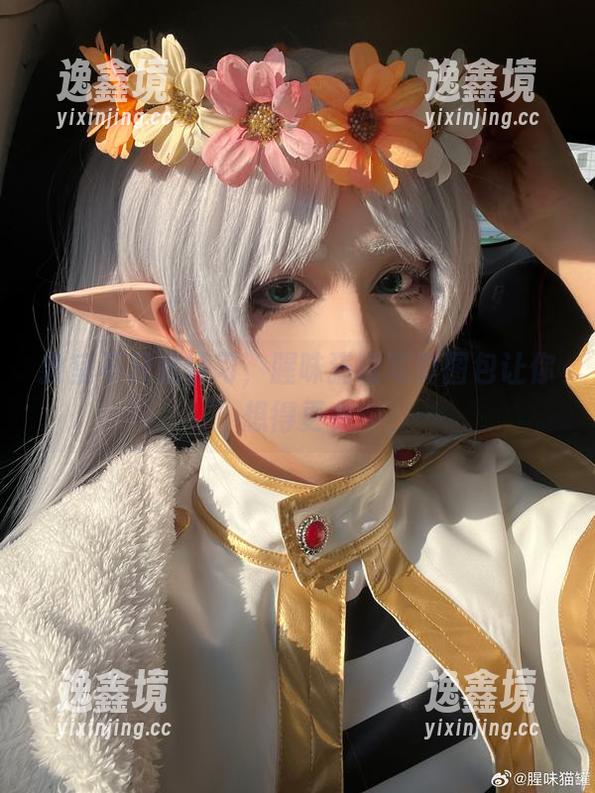 教室不只是学习，腥味猫罐写真图包让你想得更多